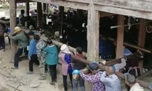 200 người làm 'thần đèn' nhấc bổng ngôi nhà 6 tấn